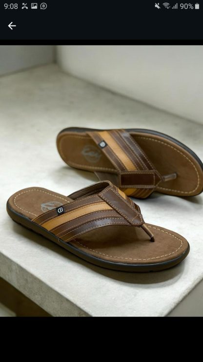 Zapatilla