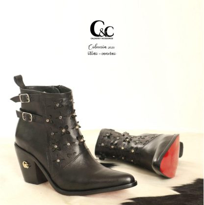 Bota