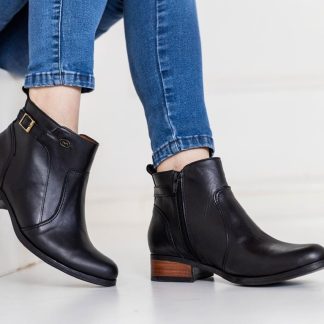Bota