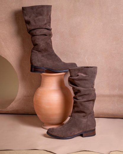 Bota