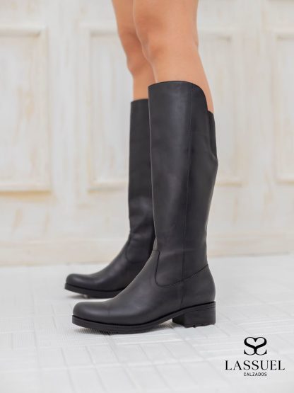 Bota