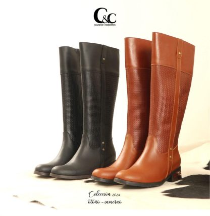 Bota