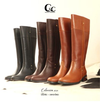 Bota