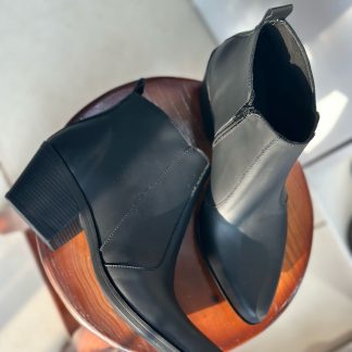 Bota