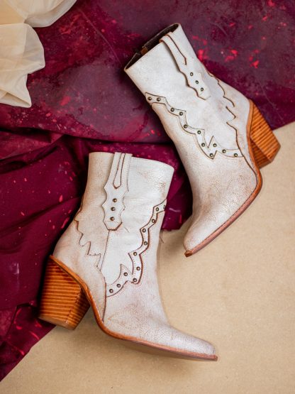 Bota