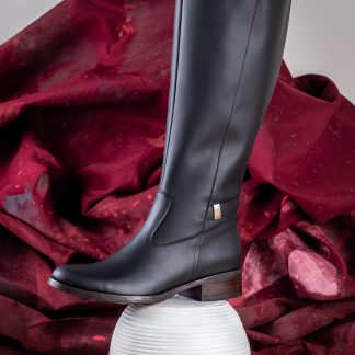 Bota