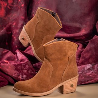 Bota