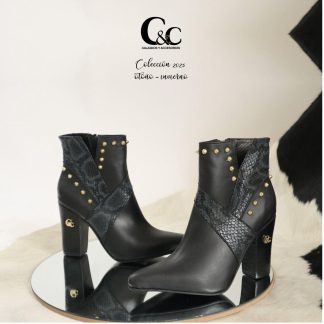 Bota