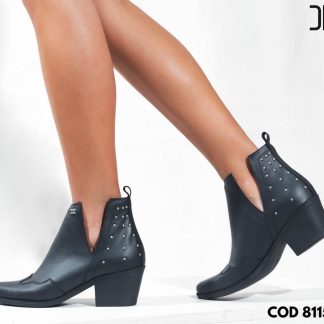 Bota