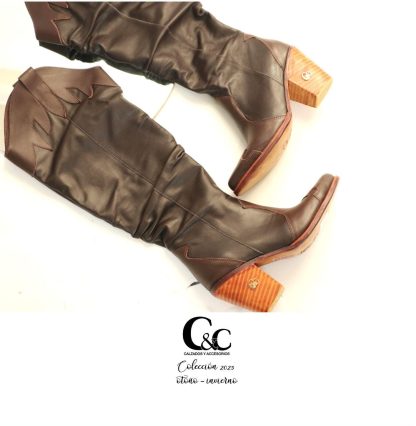 Bota
