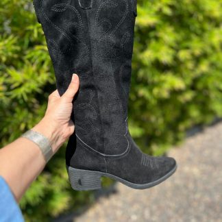 Bota
